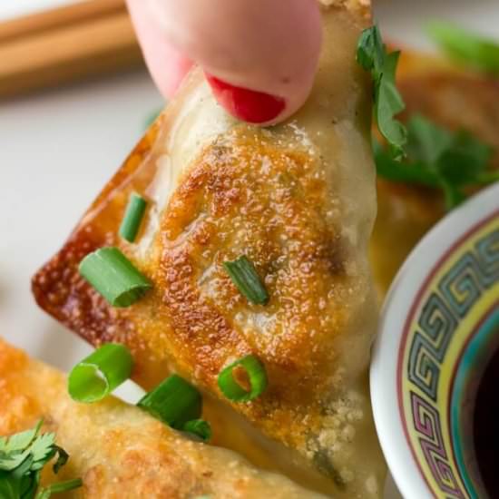 Vegetable Potsticker Dumplings - Recipe photo by LifesLittleSweets