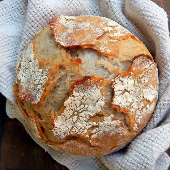 Pain de Compagne: French Sourdough - Recipe photo by Emillie
