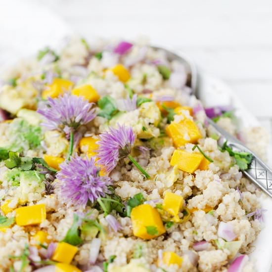 Mango Avocado Quinoa Salad - Recipe photo by ONEarmedMAMA