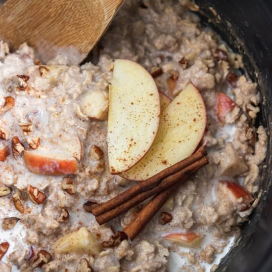 Slow Cooker Apple Oatmeal - Recipe photo by lemons and zest