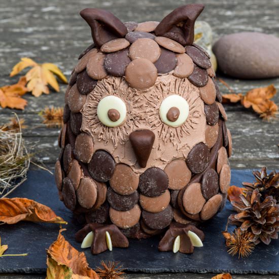 Chocolate Orange Halloween Owl Cake - Recipe photo by missrachelphipps