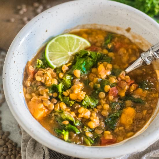 Instant Pot Lentil Soup - Recipe photo by shintasimon