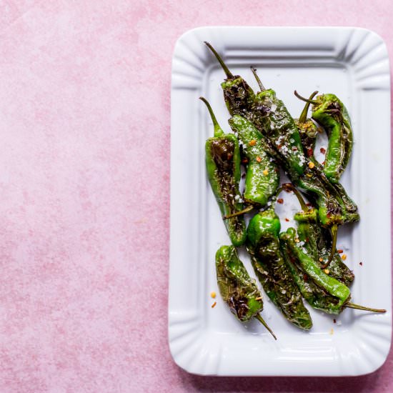 Padron peppers recipe - Recipe photo by mysugarthumb@gmail.com