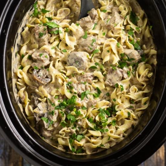 Slow Cooker Beef Stroganoff - Recipe photo by thegraciouswife