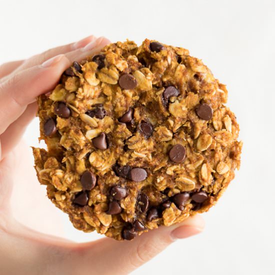 Pumpkin Choc Chip Oatmeal Cookies - Recipe photo by purelykaylie