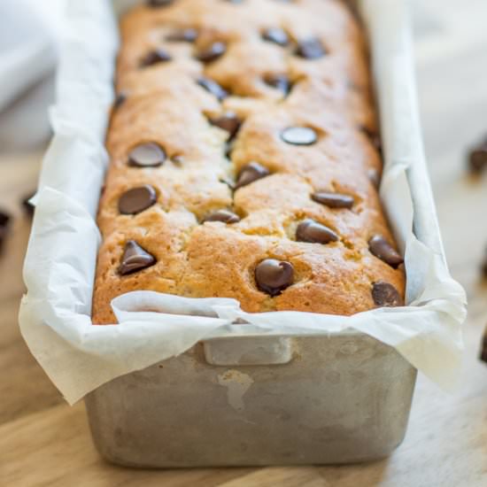 Chocolate Chip Banana Bread - Recipe photo by dhoman