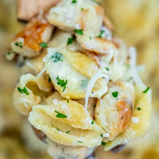 Chicken Alfredo Pasta - Recipe photo by 30minutesmeals