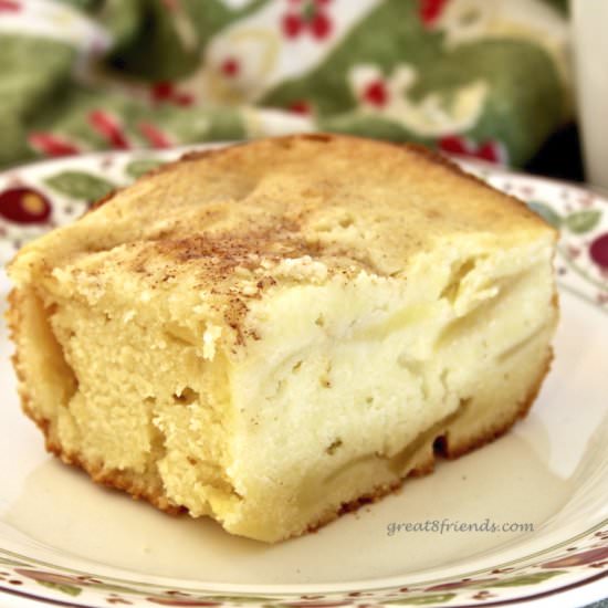 Močiute’s Lithuanian Apple Cake - Recipe photo by Great 8 Friends