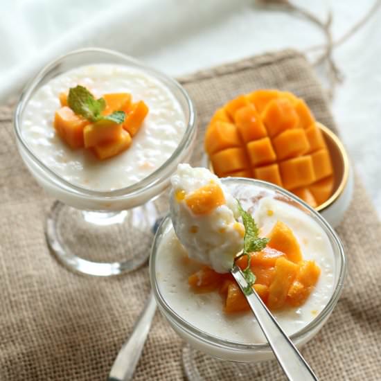Sago Coconut Pudding - Recipe photo by ruchikrandhap