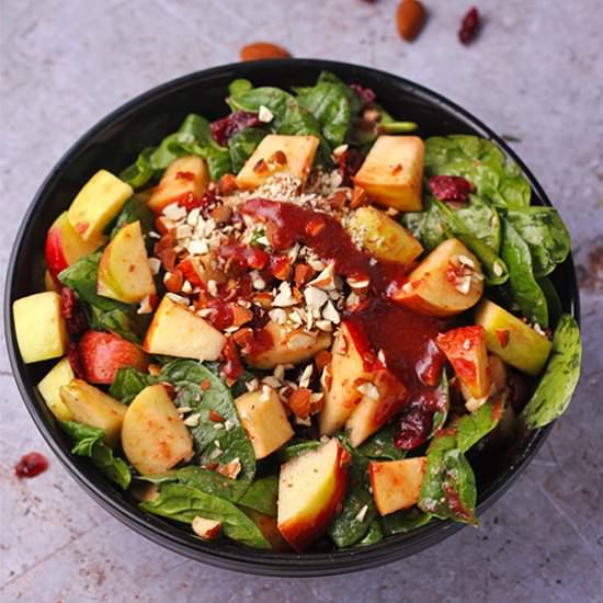 Apple Cranberry Salad - Recipe photo by veganwithgusto