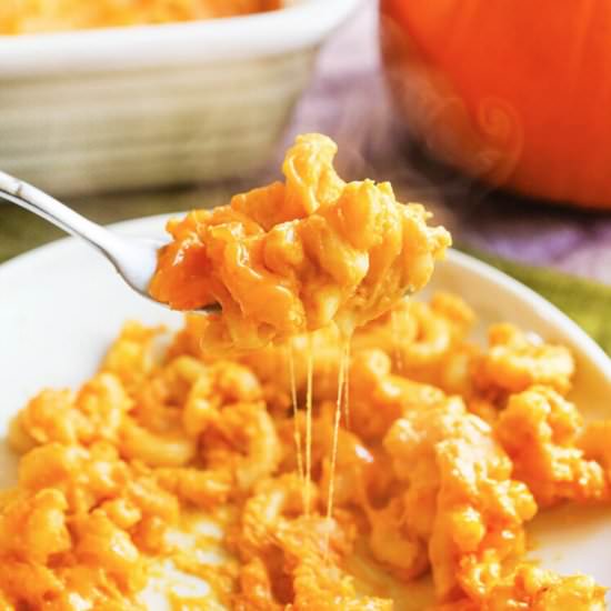 Instant Pot Pumpkin Mac and Cheese - Recipe photo by pipandebby