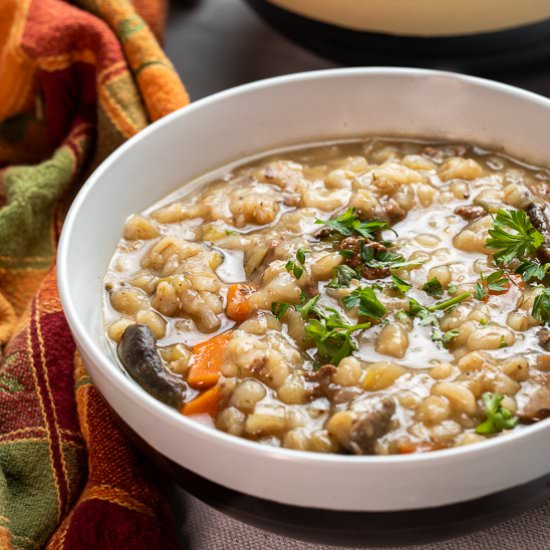 Beef Barley and Mushroom Soup - Recipe photo by sidewalkshoes