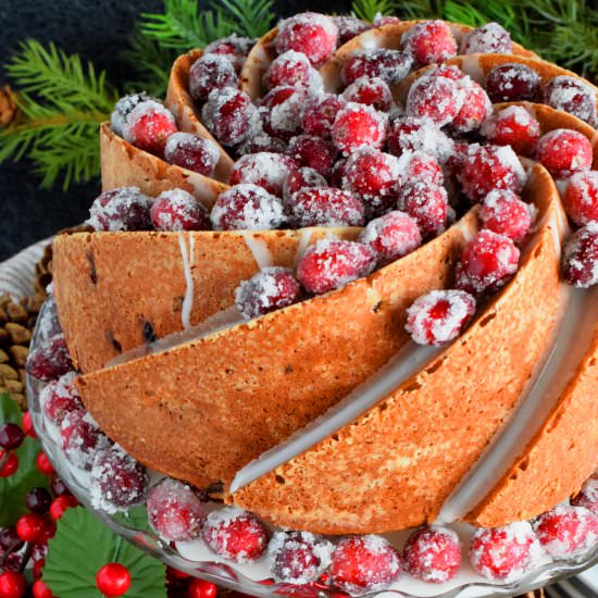 Frosted Cranberry Bundt Cake - Recipe photo by byronethomas