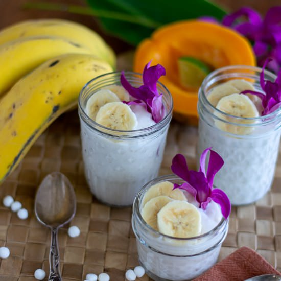 Easy Coconut Milk Tapioca Dessert - Recipe photo by a meal in mind
