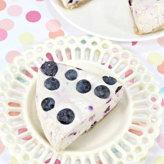 NO BAKE KETO BLUEBERRY CHEESECAKE - Recipe photo by Stylish Cravings