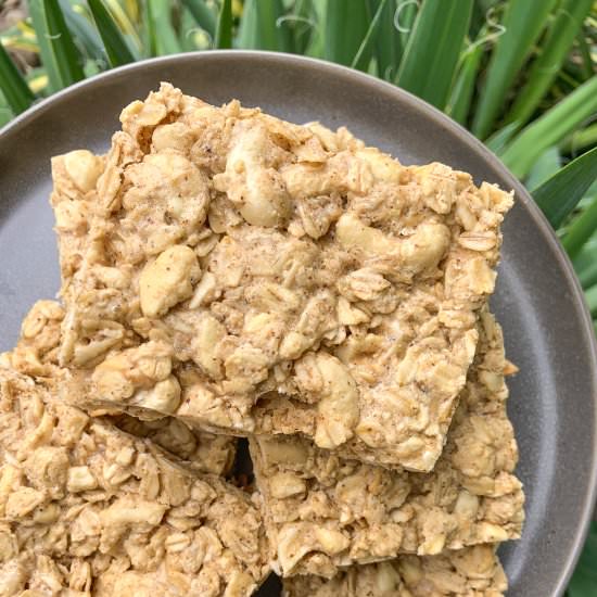 Vanilla Nut Protein Bars - Recipe photo by frozen_bananas_