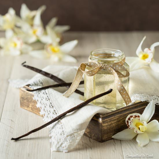Vanilla Bean Syrup - Recipe photo by Compelled To Cook