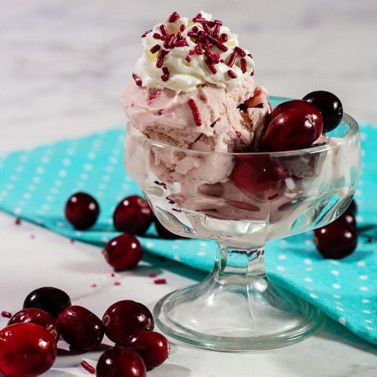 Cranberry Amaretto Ice Cream - Recipe photo by TheRedheadBaker