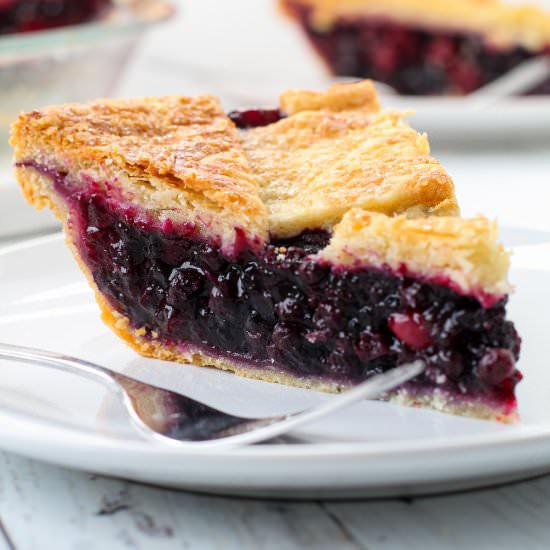 Thanksgiving Blueberry Pie - Recipe photo by Everyday Pie