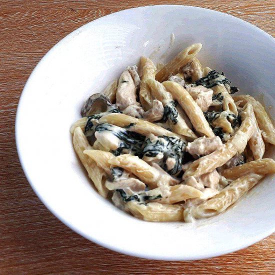 Chicken Alfredo Pasta - Recipe photo by saodeh