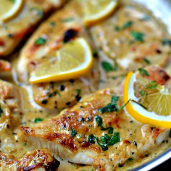 Creamy Lemon Basil Chicken - Recipe photo by Small Town Woman