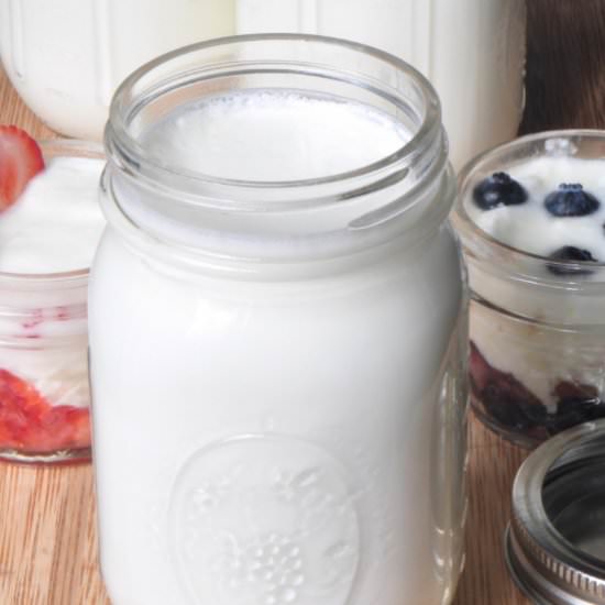 Yogurt made in Instant Pot - Recipe photo by culinaryshades