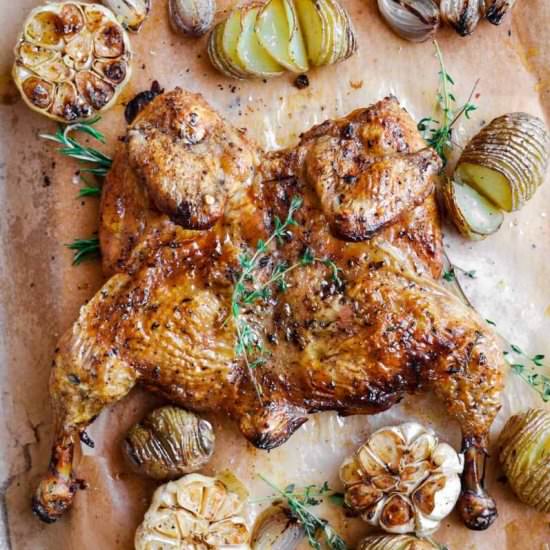 Spatchcock Garlic & Herb Chicken - Recipe photo by Easy Chicken Recipes