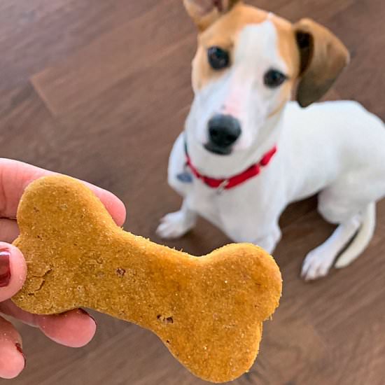 Homemade Peanut Butter Dog Treats - Recipe photo by agoudalife