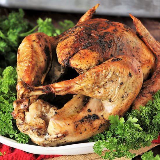 Dry-Brined Roasted Turkey - Recipe photo by thekitchenismyplayground