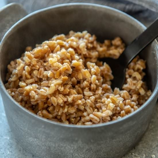 Instant Pot Farro - Recipe photo by garnishedplate