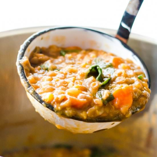 Instant Pot Lentil Soup - Recipe photo by Thenaturalnurturer