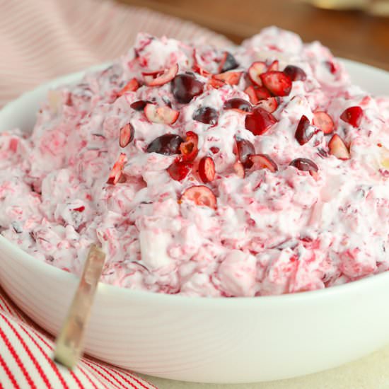 Cranberry Salad - Recipe photo by Celebrating Sweets