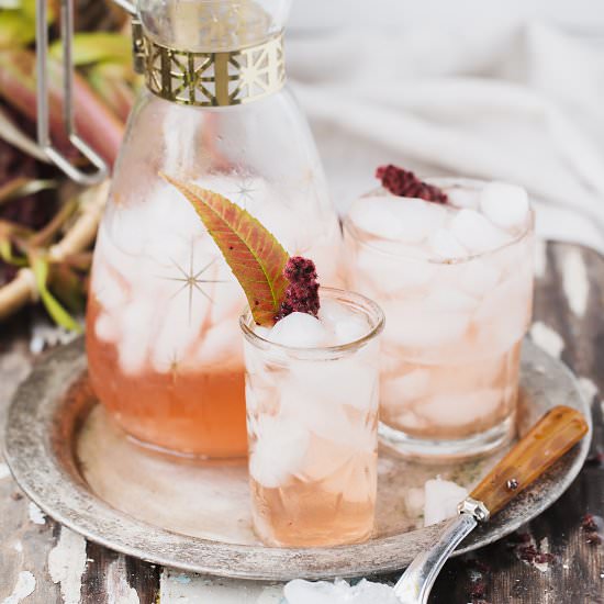 STAGHORN SUMAC LEMONADE - Recipe photo by ONEarmedMAMA