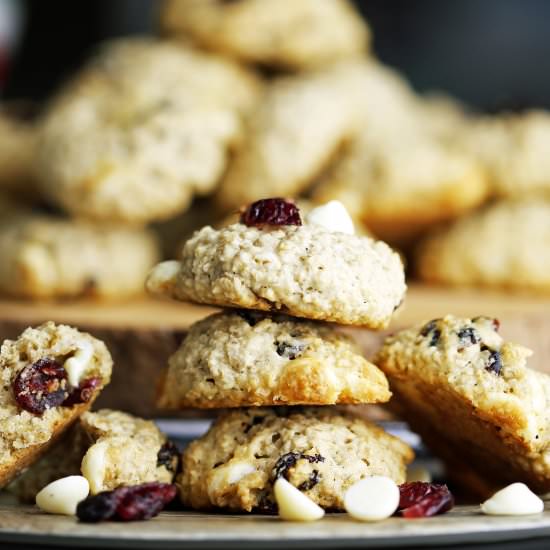 Chocolate Cranberry Oatmeal Cookies - Recipe photo by Yay For Food