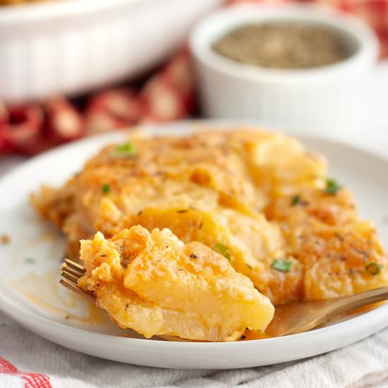 Vegan Scalloped Potatoes - Recipe photo by plant.well