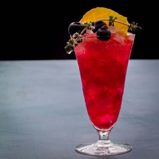 Improved blueberry shrub cocktail - Recipe photo by peck of pickles