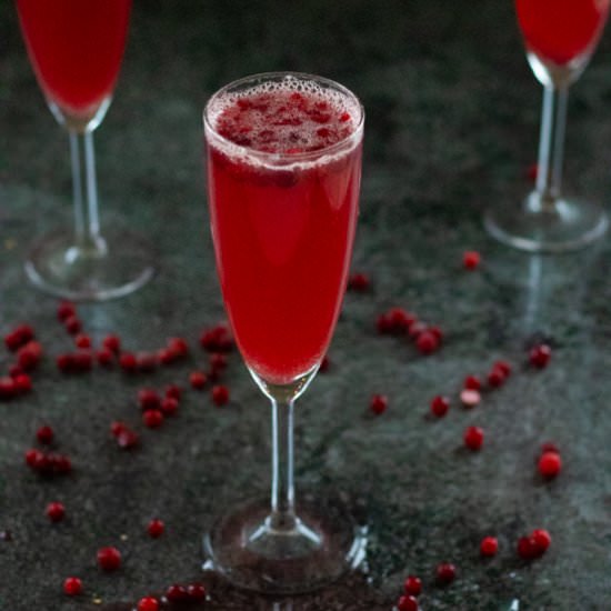 Cranberry Ginger Ale Punch - Recipe photo by alwaysusebutter