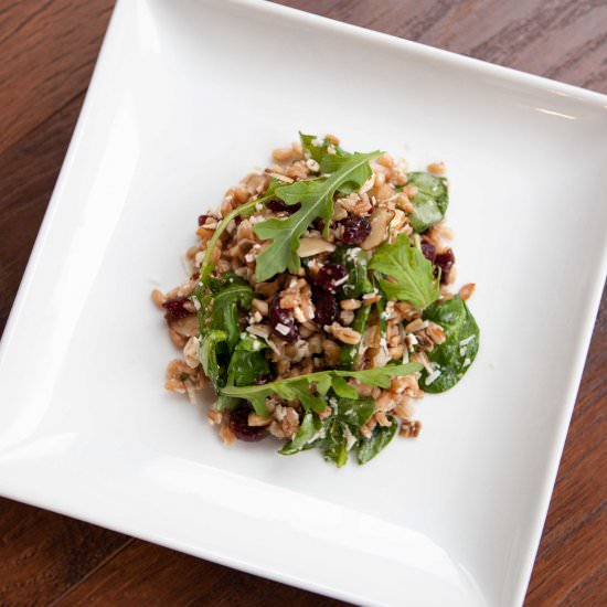 Farro and Arugula Salad - Recipe photo by Knit Nat