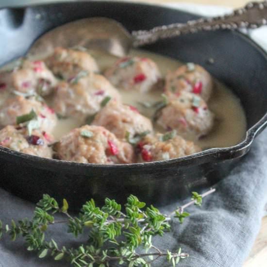 Cranberry Turkey Meatballs - Recipe photo by Simple and Savory