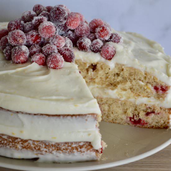 Cranberry Orange Spice Cake - Recipe photo by thisdelicioushouse