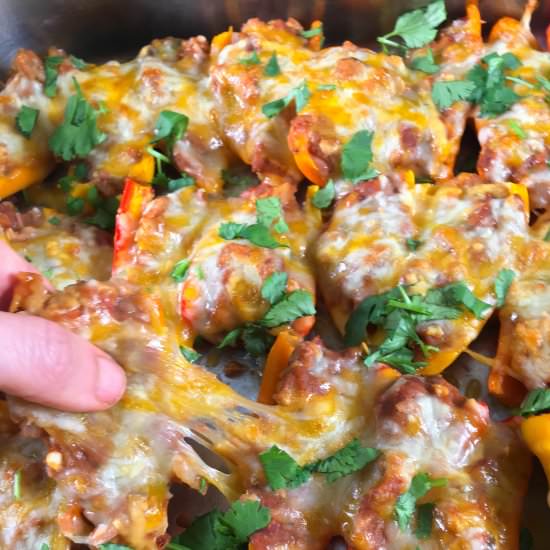 Taco-Stuffed Mini Bell Peppers - Recipe photo by summeryule.com