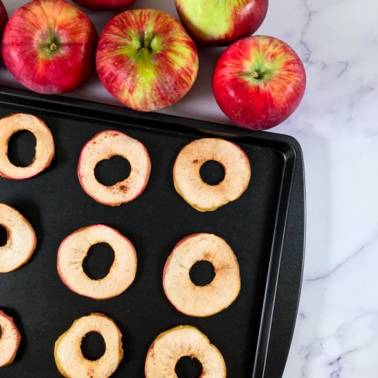 Pumpkin Spice Apple Chips - Recipe photo by summeryule.com