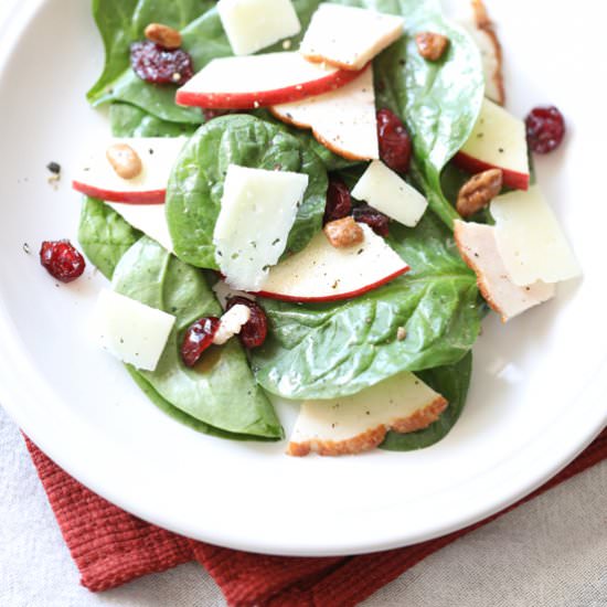 Turkey Salad - Recipe photo by bellyfull