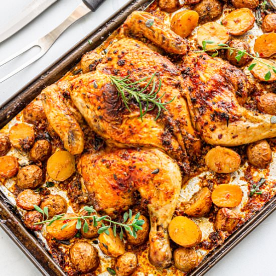 Roasted Spatchcock Chicken - Recipe photo by Priyanka DK