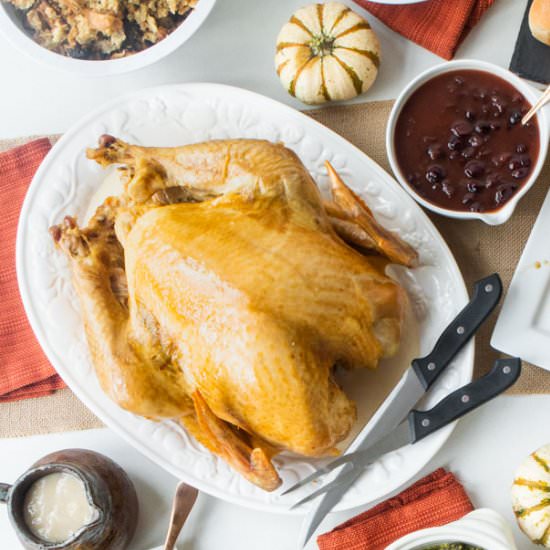 Juicy Thanksgiving Turkey - Recipe photo by pamelaz