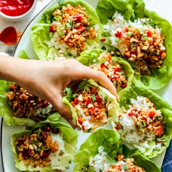 Easy Chicken Lettuce Wraps! - Recipe photo by Easy Chicken Recipes