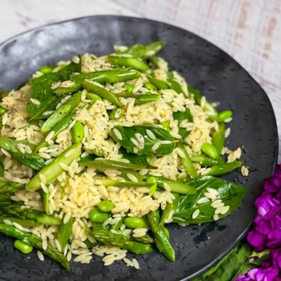 Risoni, Asparagus and Edamame Salad - Recipe photo by thedevilwearssalad