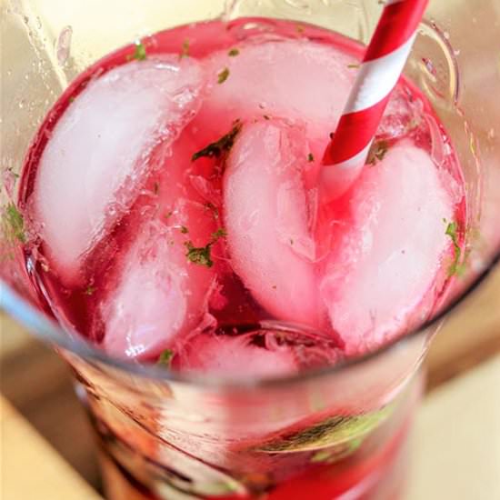 Low Carb Cranberry Mojitos - Recipe photo by seekinggoodeats