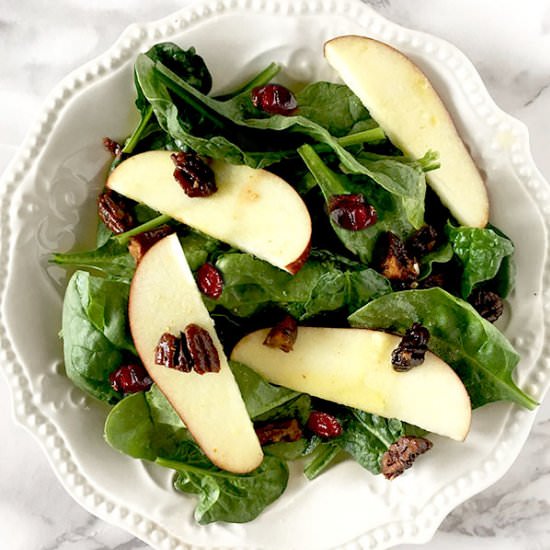 APPLE CRANBERRY SPINACH NUT SALAD - Recipe photo by The Taste of Kosher