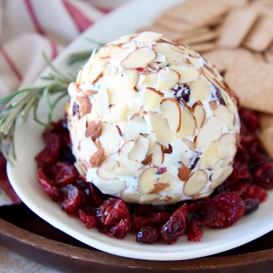 Cranberry Goat Cheese Ball - Recipe photo by Whitney Bond